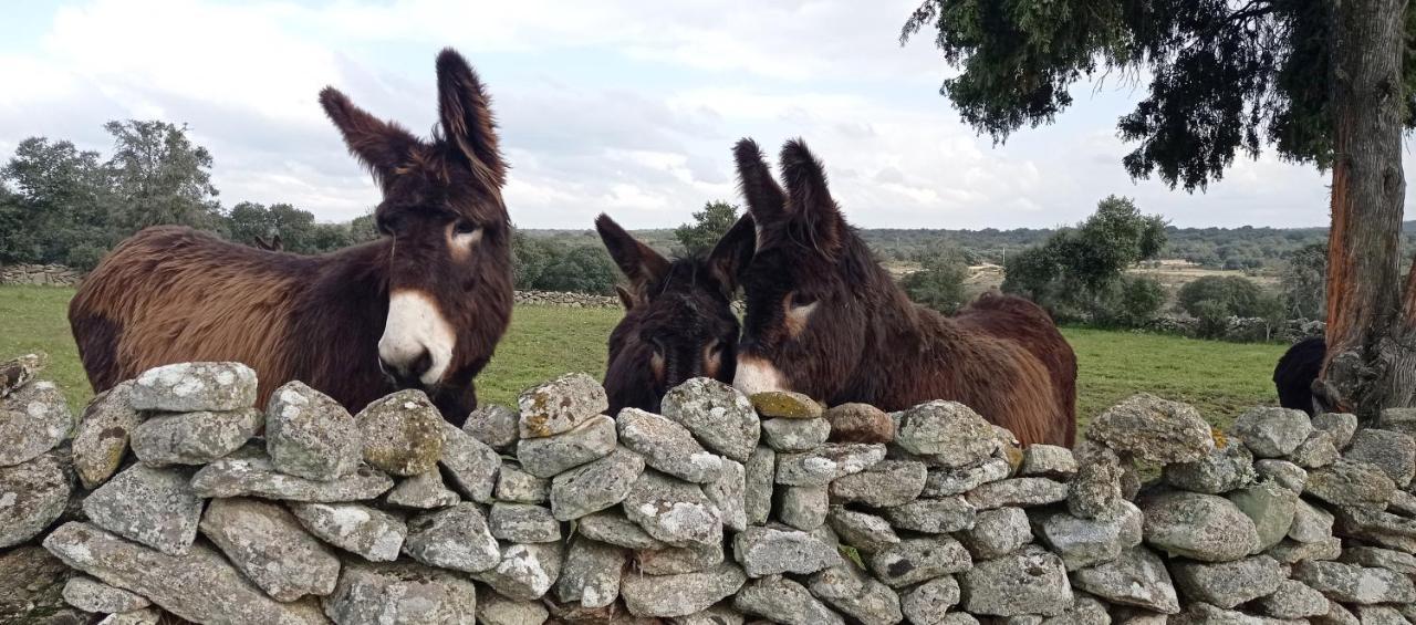 Affittacamere La Alquería de Mámoles Esterno foto