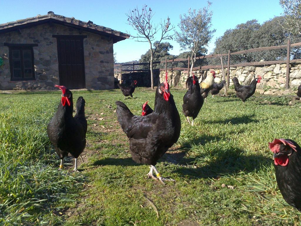 Affittacamere La Alquería de Mámoles Esterno foto